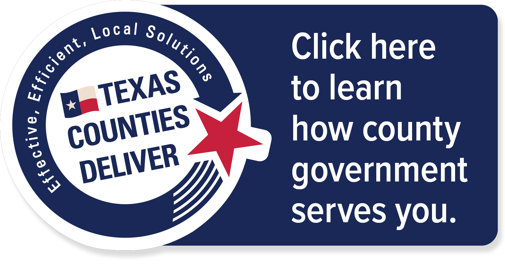 Texas Counties Delivers website link